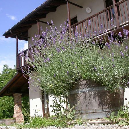 Cascina Creusa B&B Pocapaglia Exteriör bild